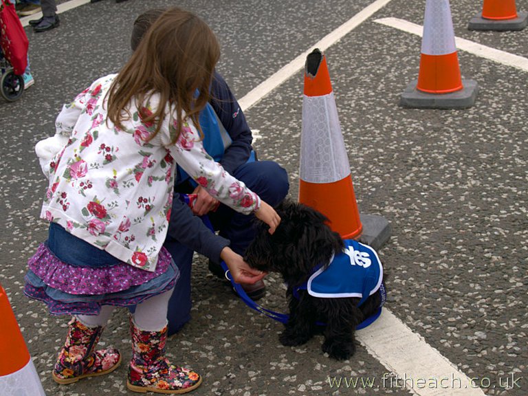 Terriers for Yes